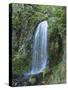 Oregon, Columbia River Gorge National Scenic Area, Lancaster Falls-Jamie & Judy Wild-Stretched Canvas