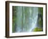 Oregon, Columbia River Gorge National Scenic Area, Lancaster Falls-Jamie & Judy Wild-Framed Photographic Print