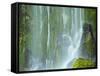 Oregon, Columbia River Gorge National Scenic Area, Lancaster Falls-Jamie & Judy Wild-Framed Stretched Canvas