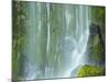 Oregon, Columbia River Gorge National Scenic Area, Lancaster Falls-Jamie & Judy Wild-Mounted Photographic Print