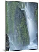 Oregon, Columbia River Gorge National Scenic Area, Lancaster Falls-Jamie & Judy Wild-Mounted Photographic Print