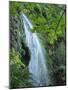 Oregon, Columbia River Gorge National Scenic Area, Lancaster Falls-Jamie & Judy Wild-Mounted Photographic Print