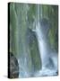 Oregon, Columbia River Gorge National Scenic Area, Lancaster Falls-Jamie & Judy Wild-Stretched Canvas