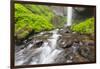 Oregon, Columbia River Gorge National Scenic Area, Latourell Creek and Falls-Jamie & Judy Wild-Framed Photographic Print