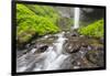 Oregon, Columbia River Gorge National Scenic Area, Latourell Creek and Falls-Jamie & Judy Wild-Framed Photographic Print