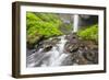 Oregon, Columbia River Gorge National Scenic Area, Latourell Creek and Falls-Jamie & Judy Wild-Framed Photographic Print