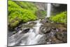 Oregon, Columbia River Gorge National Scenic Area, Latourell Creek and Falls-Jamie & Judy Wild-Mounted Photographic Print