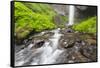 Oregon, Columbia River Gorge National Scenic Area, Latourell Creek and Falls-Jamie & Judy Wild-Framed Stretched Canvas