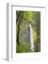 Oregon, Columbia River Gorge National Scenic Area, Latourell Falls-Jamie & Judy Wild-Framed Photographic Print