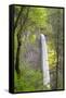 Oregon, Columbia River Gorge National Scenic Area, Latourell Falls-Jamie & Judy Wild-Framed Stretched Canvas