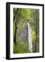 Oregon, Columbia River Gorge National Scenic Area, Latourell Falls-Jamie & Judy Wild-Framed Photographic Print