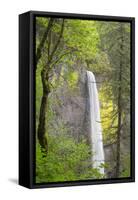 Oregon, Columbia River Gorge National Scenic Area, Latourell Falls-Jamie & Judy Wild-Framed Stretched Canvas