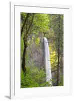 Oregon, Columbia River Gorge National Scenic Area, Latourell Falls-Jamie & Judy Wild-Framed Premium Photographic Print