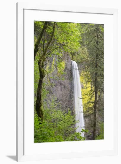 Oregon, Columbia River Gorge National Scenic Area, Latourell Falls-Jamie & Judy Wild-Framed Premium Photographic Print