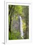 Oregon, Columbia River Gorge National Scenic Area, Latourell Falls-Jamie & Judy Wild-Framed Premium Photographic Print