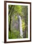 Oregon, Columbia River Gorge National Scenic Area, Latourell Falls-Jamie & Judy Wild-Framed Premium Photographic Print