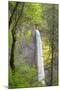 Oregon, Columbia River Gorge National Scenic Area, Latourell Falls-Jamie & Judy Wild-Mounted Premium Photographic Print