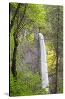 Oregon, Columbia River Gorge National Scenic Area, Latourell Falls-Jamie & Judy Wild-Stretched Canvas