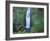Oregon, Columbia River Gorge National Scenic Area, Multnomah Falls, lower-Jamie & Judy Wild-Framed Photographic Print