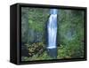 Oregon, Columbia River Gorge National Scenic Area, Multnomah Falls, lower-Jamie & Judy Wild-Framed Stretched Canvas