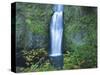Oregon, Columbia River Gorge National Scenic Area, Multnomah Falls, lower-Jamie & Judy Wild-Stretched Canvas
