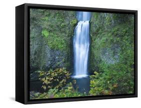 Oregon, Columbia River Gorge National Scenic Area, Multnomah Falls, lower-Jamie & Judy Wild-Framed Stretched Canvas