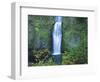 Oregon, Columbia River Gorge National Scenic Area, Multnomah Falls, lower-Jamie & Judy Wild-Framed Photographic Print