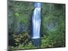 Oregon, Columbia River Gorge National Scenic Area, Multnomah Falls, lower-Jamie & Judy Wild-Mounted Photographic Print