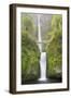 Oregon, Columbia River Gorge National Scenic Area, Multnomah Falls-Jamie & Judy Wild-Framed Photographic Print