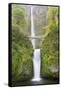 Oregon, Columbia River Gorge National Scenic Area, Multnomah Falls-Jamie & Judy Wild-Framed Stretched Canvas