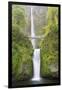 Oregon, Columbia River Gorge National Scenic Area, Multnomah Falls-Jamie & Judy Wild-Framed Photographic Print