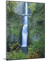 Oregon, Columbia River Gorge National Scenic Area, Multnomah Falls-Jamie & Judy Wild-Mounted Photographic Print