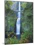 Oregon, Columbia River Gorge National Scenic Area, Multnomah Falls-Jamie & Judy Wild-Mounted Photographic Print