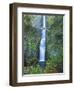 Oregon, Columbia River Gorge National Scenic Area, Multnomah Falls-Jamie & Judy Wild-Framed Photographic Print