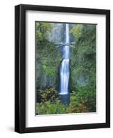 Oregon, Columbia River Gorge National Scenic Area, Multnomah Falls-Jamie & Judy Wild-Framed Photographic Print