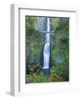 Oregon, Columbia River Gorge National Scenic Area, Multnomah Falls-Jamie & Judy Wild-Framed Photographic Print