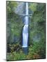 Oregon, Columbia River Gorge National Scenic Area, Multnomah Falls-Jamie & Judy Wild-Mounted Photographic Print