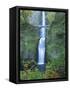 Oregon, Columbia River Gorge National Scenic Area, Multnomah Falls-Jamie & Judy Wild-Framed Stretched Canvas