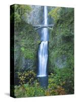 Oregon, Columbia River Gorge National Scenic Area, Multnomah Falls-Jamie & Judy Wild-Stretched Canvas