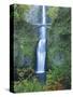 Oregon, Columbia River Gorge National Scenic Area, Multnomah Falls-Jamie & Judy Wild-Stretched Canvas
