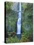 Oregon, Columbia River Gorge National Scenic Area, Multnomah Falls-Jamie & Judy Wild-Stretched Canvas