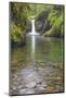 Oregon, Columbia River Gorge National Scenic Area, Punch Bowl Falls-Jamie & Judy Wild-Mounted Photographic Print