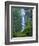 Oregon, Columbia River Gorge National Scenic Area, Starvation Creek Falls-Jamie & Judy Wild-Framed Photographic Print