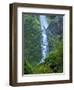 Oregon, Columbia River Gorge National Scenic Area, Starvation Creek Falls-Jamie & Judy Wild-Framed Photographic Print