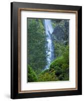 Oregon, Columbia River Gorge National Scenic Area, Starvation Creek Falls-Jamie & Judy Wild-Framed Photographic Print