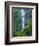 Oregon, Columbia River Gorge National Scenic Area, Starvation Creek Falls-Jamie & Judy Wild-Framed Photographic Print