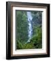 Oregon, Columbia River Gorge National Scenic Area, Starvation Creek Falls-Jamie & Judy Wild-Framed Photographic Print