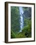 Oregon, Columbia River Gorge National Scenic Area, Starvation Creek Falls-Jamie & Judy Wild-Framed Photographic Print