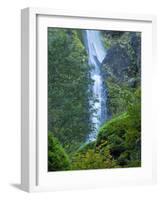 Oregon, Columbia River Gorge National Scenic Area, Starvation Creek Falls-Jamie & Judy Wild-Framed Photographic Print