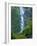 Oregon, Columbia River Gorge National Scenic Area, Starvation Creek Falls-Jamie & Judy Wild-Framed Photographic Print